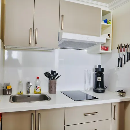 Apartment Le Cocon Setois, Clim, Patio Et Garage Pour Vehicule Type Golf, Linge De Lit Et Serviettes Non Inclus