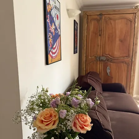 Appartement Le Cocon De Sètois, Clim, Patio Et Garage Pour Véhicule Type Golf, Linge De Lit Et Serviettes Inclus *